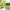 Garden Landscape Fabric - Heavy Duty Weed Barrier for Driveways and Gardens