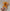 Baby Rattles DIY Crochet Cartoon Lion and Fox Doll Hand Bell Toy