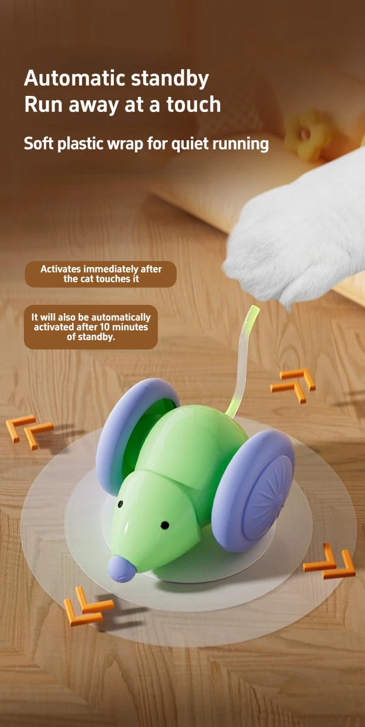 Interactive Cat Toy - Electric Mouse Car with Automatic Teaser