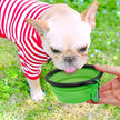 Portable Pet Food Bowl - Durable Silicone Collapsible Bowl for Dogs and Cats
