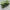 Garden Outdoor Plant Wall - Vertical Flower Pot Container for Green Spaces