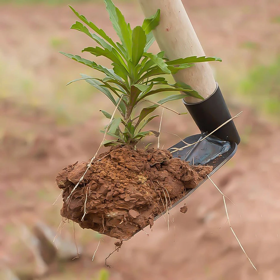 Garden Hoe - Essential Tool for Digging and Weeding in Your Garden