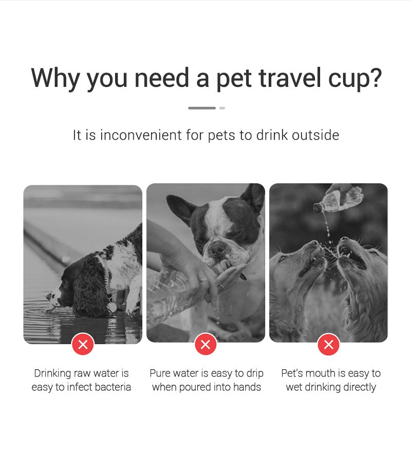 Portable Dog Water Bottle - Leakproof Drinking Bowl for Dogs and Cats