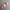 Clothes for Labubu Doll - 15/17cm 3D Printing Accessories Set