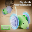 Interactive Cat Toy - Electric Mouse Car with Automatic Teaser