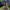 Garden Lights Outdoor Bright in-Ground Lights Landscape Lighting for Patio Pathway Lawn Solar Ground Lights LED Waterproof Solar
