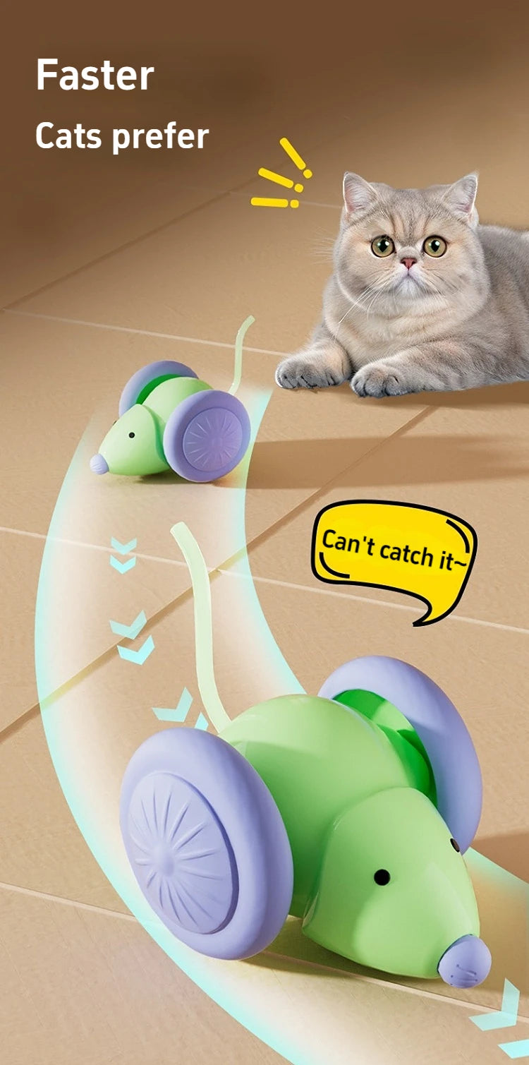 Interactive Cat Toy - Electric Mouse Car with Automatic Teaser