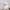 Wings for 15/17cm Labubu Doll Accessories - Little Angel Wings