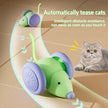 Interactive Cat Toy - Electric Mouse Car with Automatic Teaser