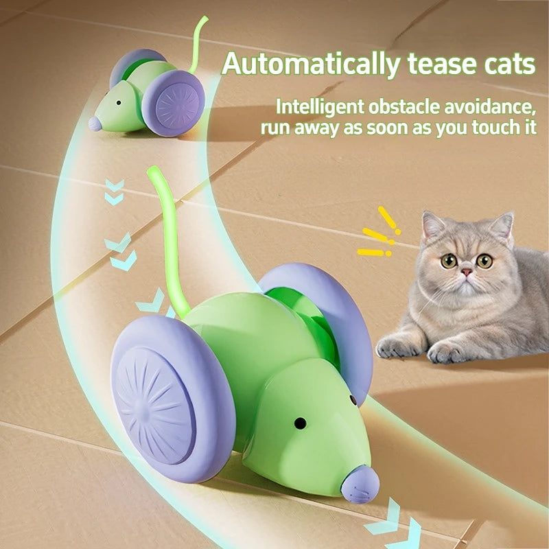 Interactive Cat Toy - Electric Mouse Car with Automatic Teaser