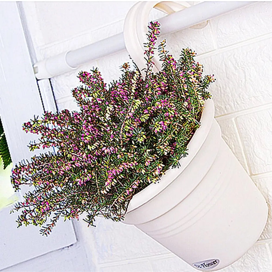 Wall-Mounted Flowerpot - Resin Hanging Planter for Garden Decoration
