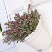 Wall-Mounted Flowerpot - Resin Hanging Planter for Garden Decoration
