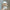 17cm Mini Labubu Doll Clothes - Outfit, Hat, Bag, and Shoes Accessories