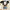 Hot Only Clothes 17cm for Labubu - Cute Kawaii Doll Clothing Accessories
