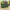 Garden Outdoor Plant Wall - Vertical Flower Pot Container for Green Spaces