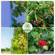 Garden Net Protects Plants with Durable Garden Protection Nets From Birds and Poultry Garden Plant Climbing Nets Gardening Tools