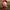 Hot Fashion Labubu Doll Clothing Accessories - K-Pop Inspired Squid Jumpsuit Set