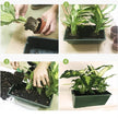 Garden Outdoor Plant Wall - Vertical Flower Pot Container for Green Spaces