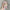 17cm Mini Labubu Doll Clothes - Outfit, Hat, Bag, and Shoes Accessories
