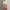 Cute Doll Clothing for Labubu 17cm Idol Doll - Macaron V1 V2 Decoration