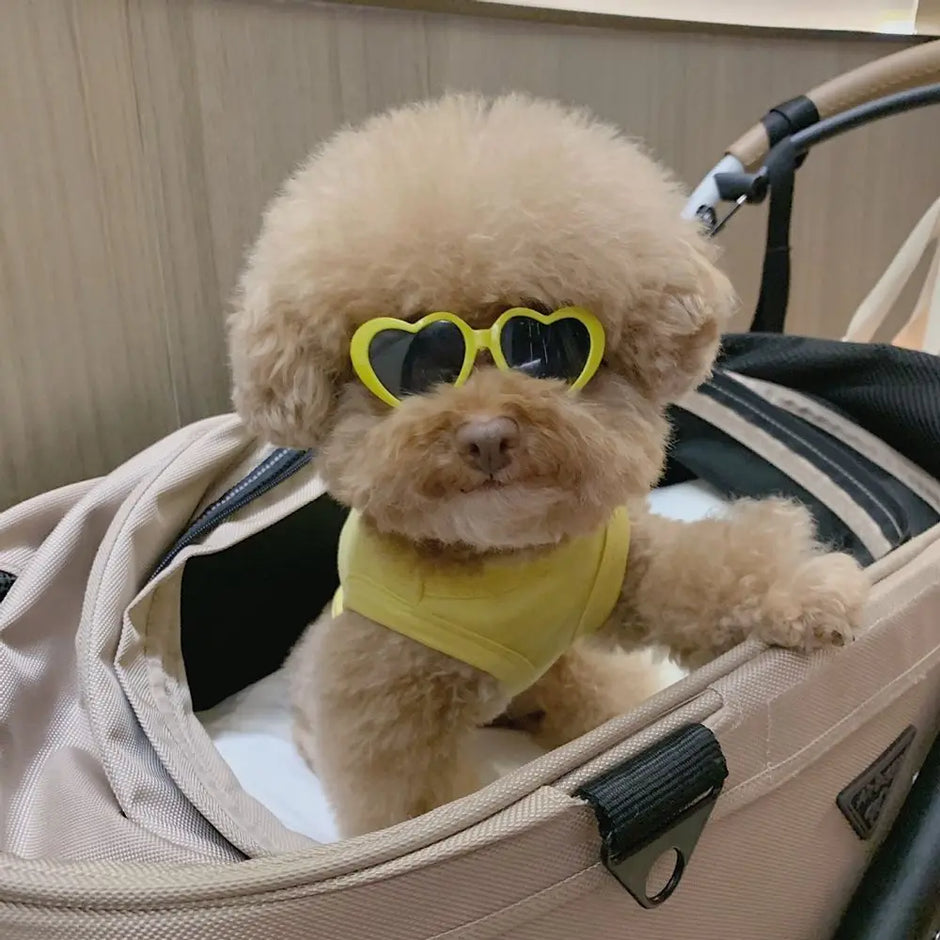 Cat Cute Sunglasses - Fun Pet Party Decor for Stylish Felines
