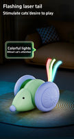 Interactive Cat Toy - Electric Mouse Car with Automatic Teaser