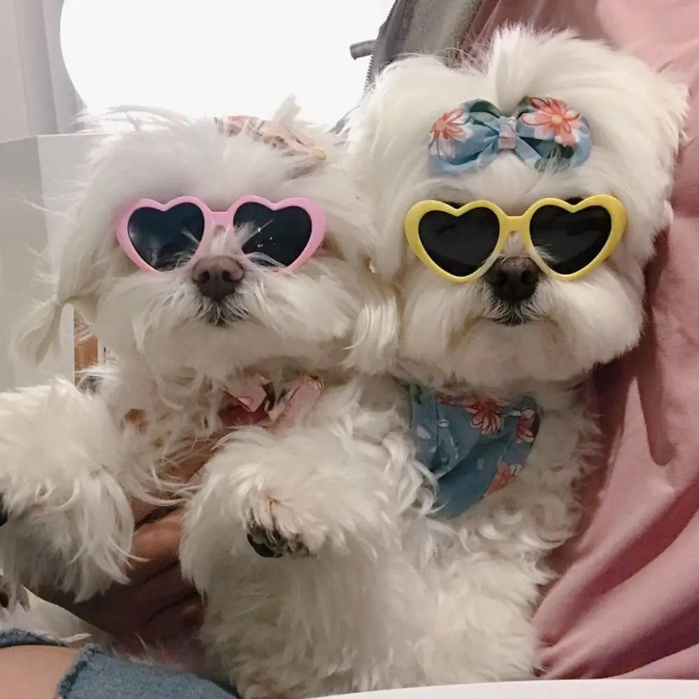 Cat Cute Sunglasses - Fun Pet Party Decor for Stylish Felines