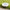 Garden Lights Outdoor Bright in-Ground Lights Landscape Lighting for Patio Pathway Lawn Solar Ground Lights LED Waterproof Solar