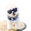 Cat Cute Sunglasses - Fun Pet Party Decor for Stylish Felines