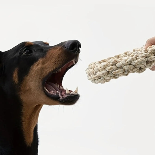 Pet Dog Rope Toy Durable Chew Bite Resistant Drag Pet toys for Medium Large Dogs Golden Retriever Pitbull Labrador Supplies