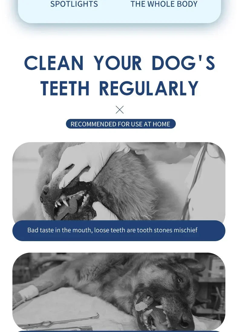 Pet Teeth Cleaning Tools Toothbrush - Essential for Oral Health