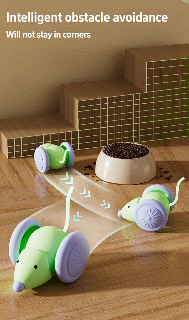 Interactive Cat Toy - Electric Mouse Car with Automatic Teaser