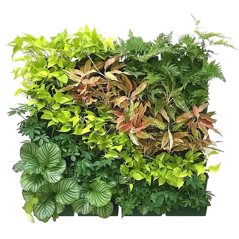 Garden Outdoor Plant Wall - Vertical Flower Pot Container for Green Spaces