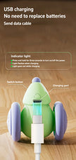 Interactive Cat Toy - Electric Mouse Car with Automatic Teaser