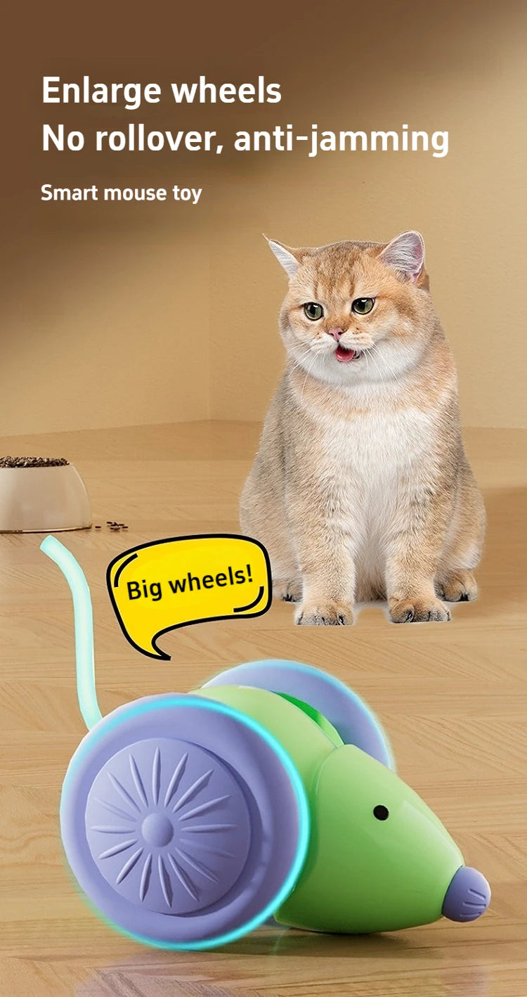 Interactive Cat Toy - Electric Mouse Car with Automatic Teaser