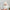 Wings for 15/17cm Labubu Doll Accessories - Little Angel Wings
