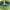 Garden Grass Edge Border - Lawn and Flower Bed Separation Supplies