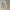 17cm Mini Labubu Doll Clothes - Outfit, Hat, Bag, and Shoes Accessories