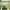 Garden Landscape Fabric - Heavy Duty Weed Barrier for Driveways and Gardens