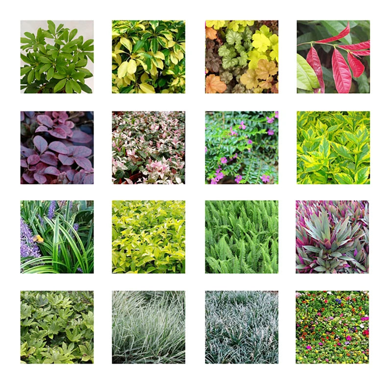 Garden Outdoor Plant Wall - Vertical Flower Pot Container for Green Spaces