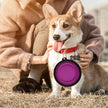 Portable Pet Food Bowl - Durable Silicone Collapsible Bowl for Dogs and Cats