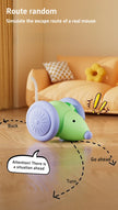 Interactive Cat Toy - Electric Mouse Car with Automatic Teaser