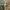 4 Teeth Multifunctional Hand Weeder - Durable Garden Tool for Weeding and Planting