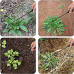 4 Teeth Multifunctional Hand Weeder - Durable Garden Tool for Weeding and Planting
