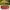Garden Edging Borders Grass Lawn Fence Path Patio Interlocking Decorative Outdoor Barrier Landscape Edging for Yard Garden