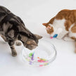 Cat Toy LED Inductive Interactive Swimming Robot Fish Toy - Glowing Electric Fish to Stimulate Play
