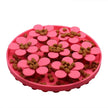 Pet Products Mat for Dogs and Cats - Slow Food Bowls with Suction Cup Feeding and Silicone Lick Pad