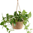 Garden Hanging Planter - Macrame Plant Storage Basket for Indoor and Outdoor Use