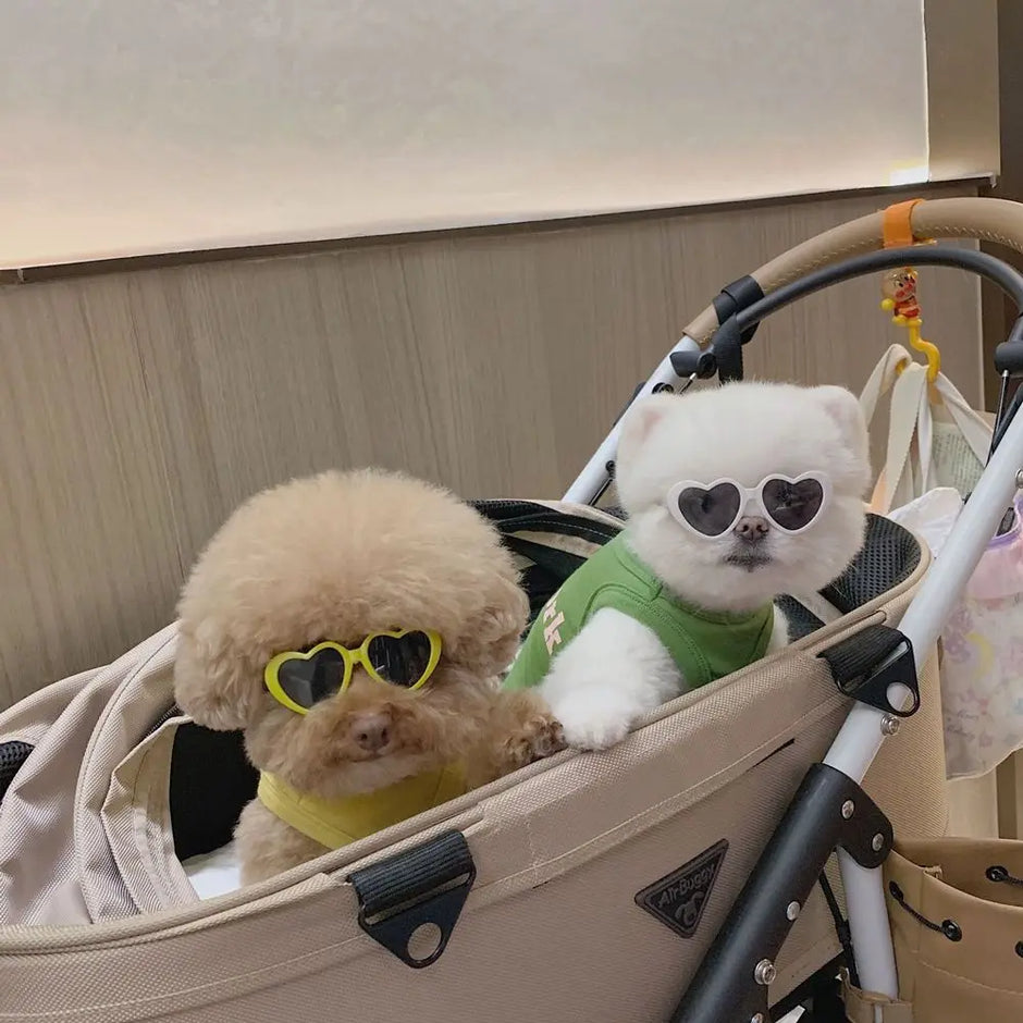 Cat Cute Sunglasses - Fun Pet Party Decor for Stylish Felines