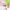 Azuki Can Azukisan’s Daily Life Mystery Box